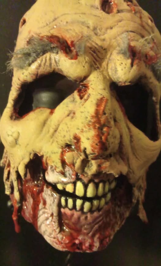 547651468_1362267855899779_3562019097419939524_n